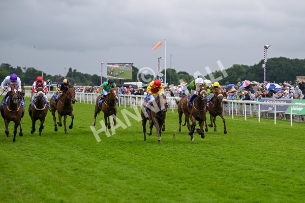 150624-Race 2-Tolstoy-6852 - Race 2 2.25pm Sky Bet Proud To Support Macmillan Handicap