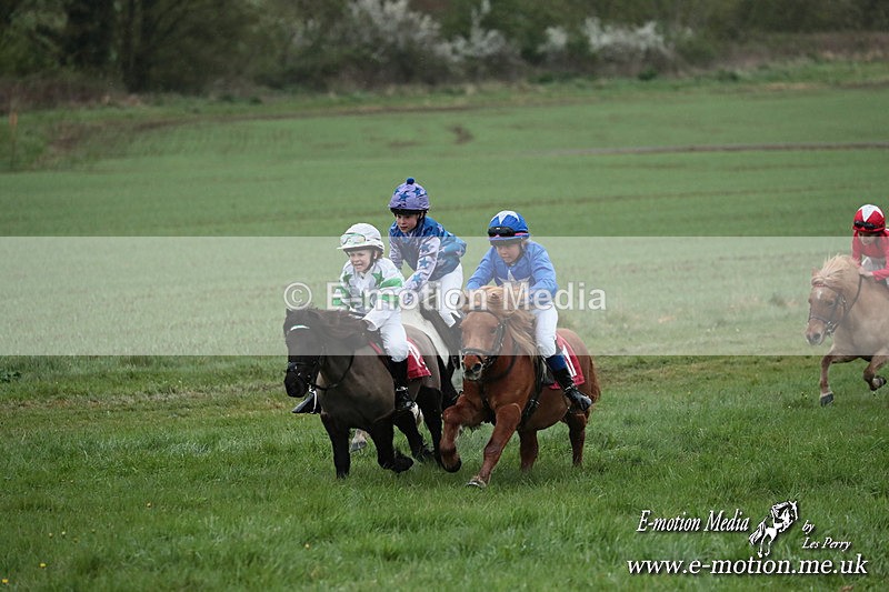 SHETPR 210425 172 - Shetland Ponies Paxford Races 21/04/25