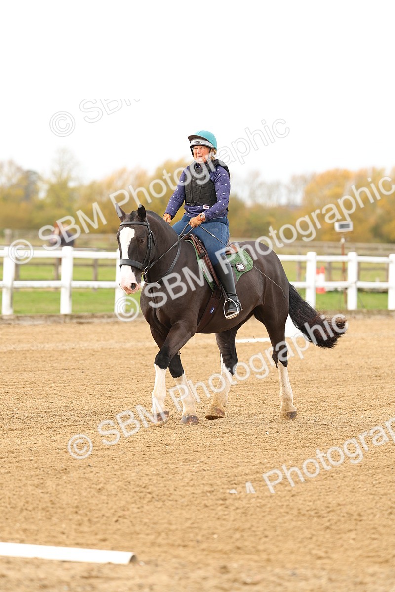 SBM_001002 - Class 13-4-9 - DR P3 CT P3 70cm CT PYO