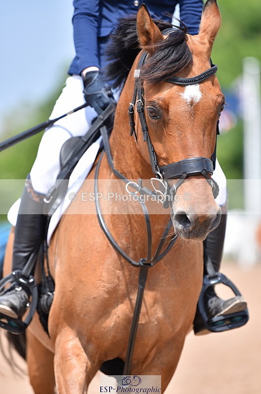 230609A-122435-00888 - Cls 10 85cm Amateur Qualifier