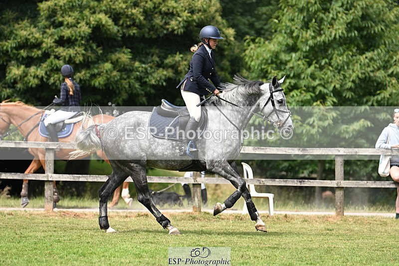 250704A-113645-07309 - Cls 25 Snr British Novice and 90cm