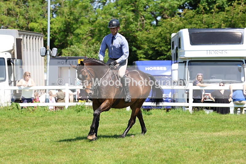 3E7A7215 - Class 30: Novice Working Hunter