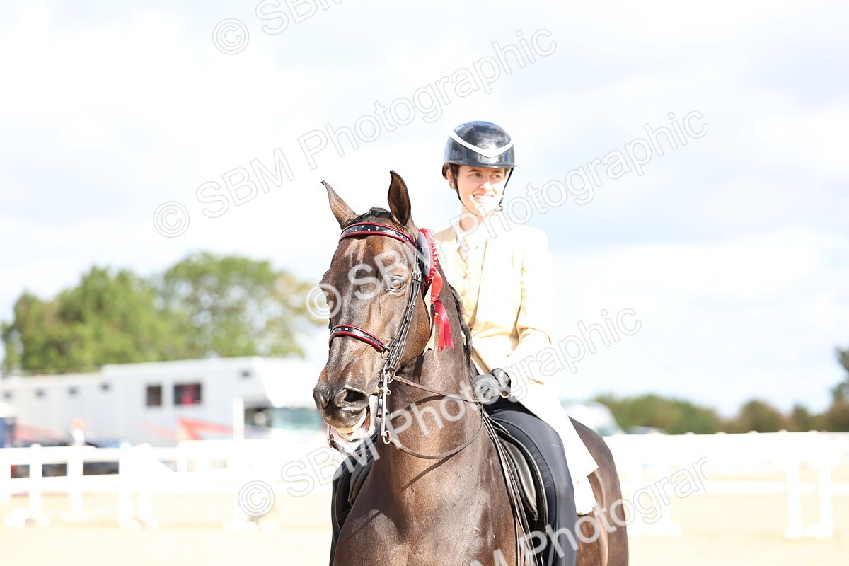 SBM_09178 - Class 303 - Ridden Pure Bred Horse Pony