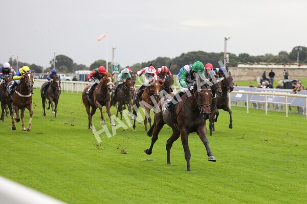 yr07102022r2-26 - Race 2 2.40pm William Hill Autumn Mile