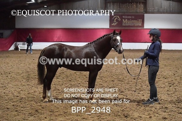 BPP_2948 - LOOSE JUMPING / SPSS