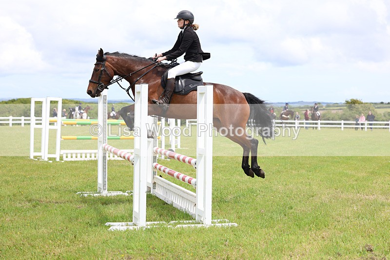 3E7A7259 - Class 13: Senior British Novice/90cm open