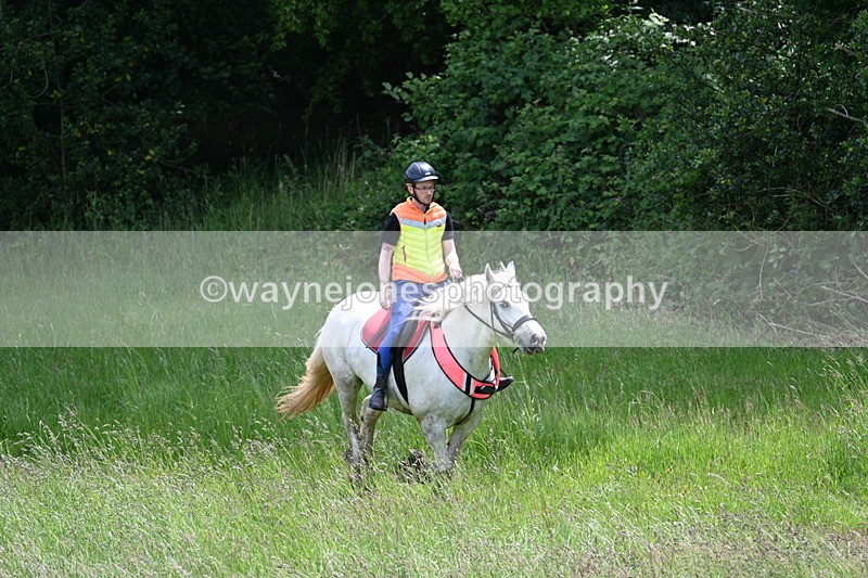 WJ7_8762 - Group 4 11am