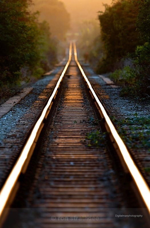 Down the tracks - Life on Man