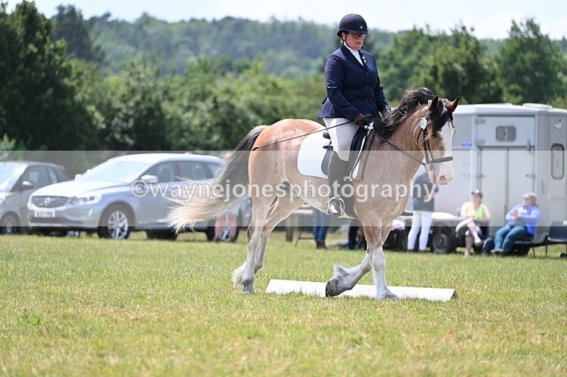 WJ7_8201 - Time 13:35 to 13:40