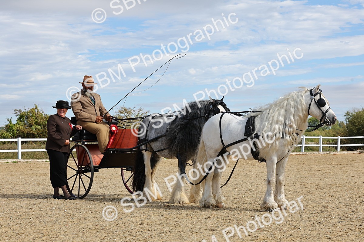 SBM_001252 - Class 16 - Pairs ,Multiples and Tandems