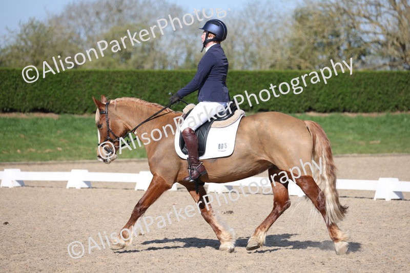 20250405-0257 - Class 11 - My Quest Novice 3