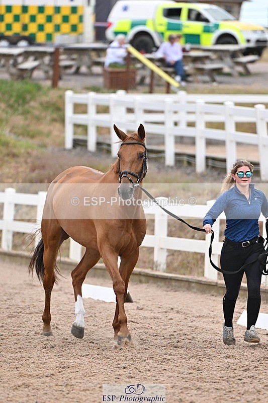 250716-141107-00954 - Trot Up 1.30 to 2.30