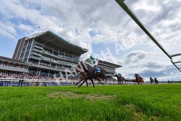 310525-Race 2-Tadej-3881 - Race 2 2.05pm Irish Thoroughbred Marketing EBF Restricted Novice Stakes