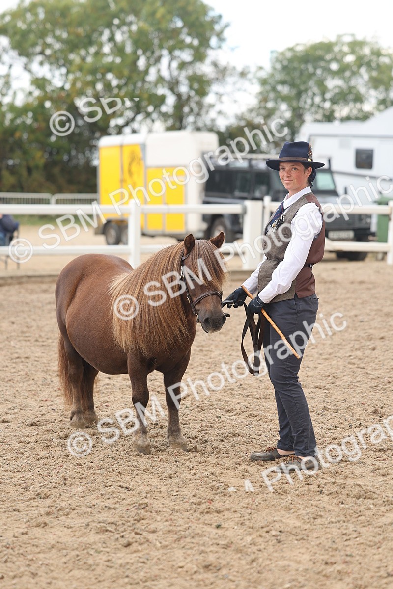 SBM_03253 - Class 16 - IH M&M Wildcard