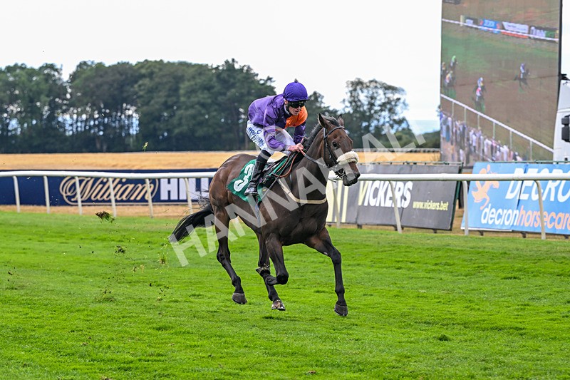 070826-Race 6-Great Profit-2178 - Race 6 16.40pm Country Music Night Here Next Friday 14th August Handicap