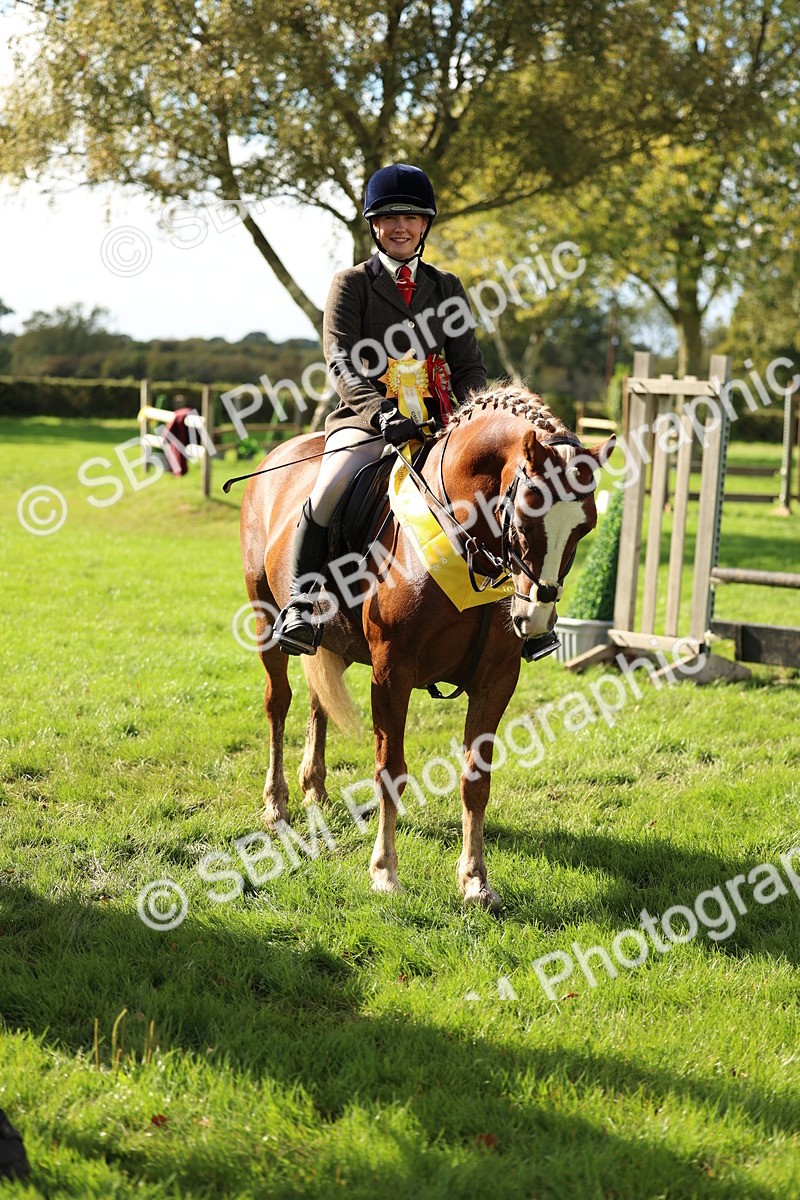 SBM_46404 - Working Hunter Pony Supreme Championship