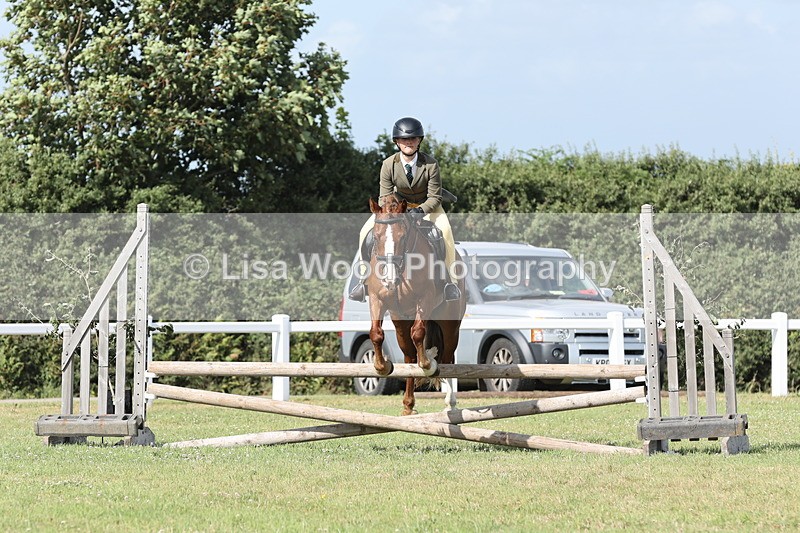 JPP_2743 - Class 20: Working Hunter 70cm