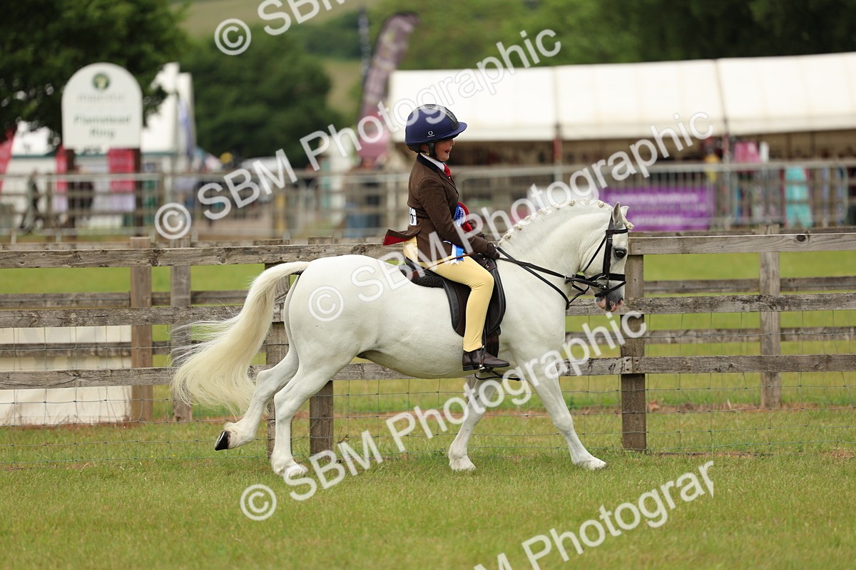 SBM_10451 - Class 44-45 - LIHS BSPS Open Nursery and Cradle Stakes