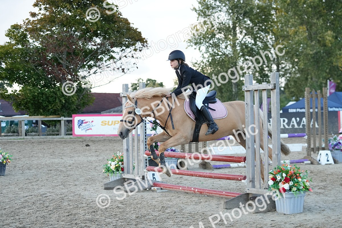SBM_54212 - Supreme Championship 60cm 65cm