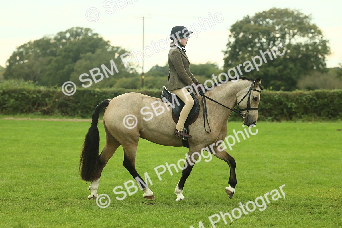 SBM_73923 - S 61 - Show Pony & Show Hunter Pony Ridden