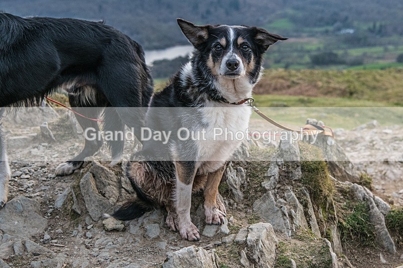 Loughrigg-27 - Loughrigg Fell Race, Wednesday 8th April 2026