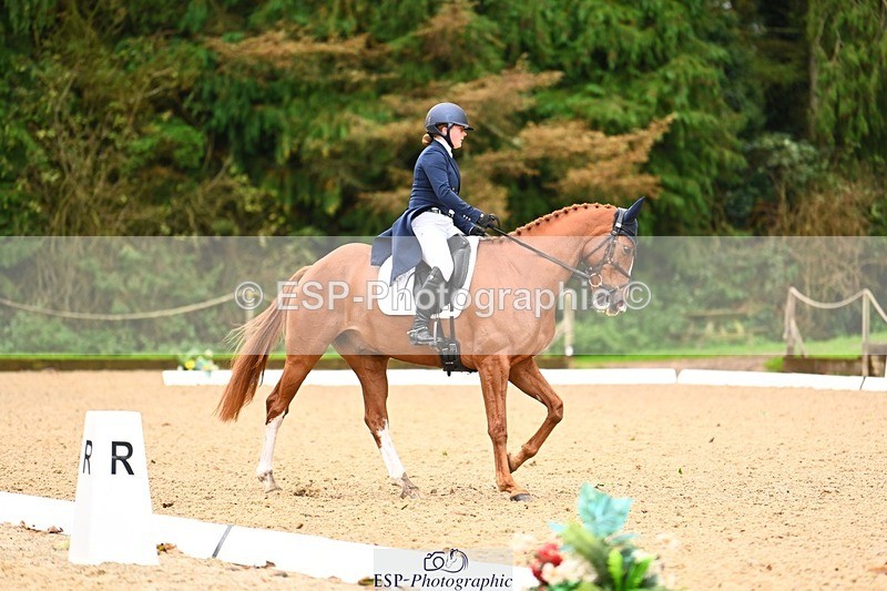 231021-115934-15037 - 344-GLOBAL.EXOTIC-Jemima.Stratton-DR