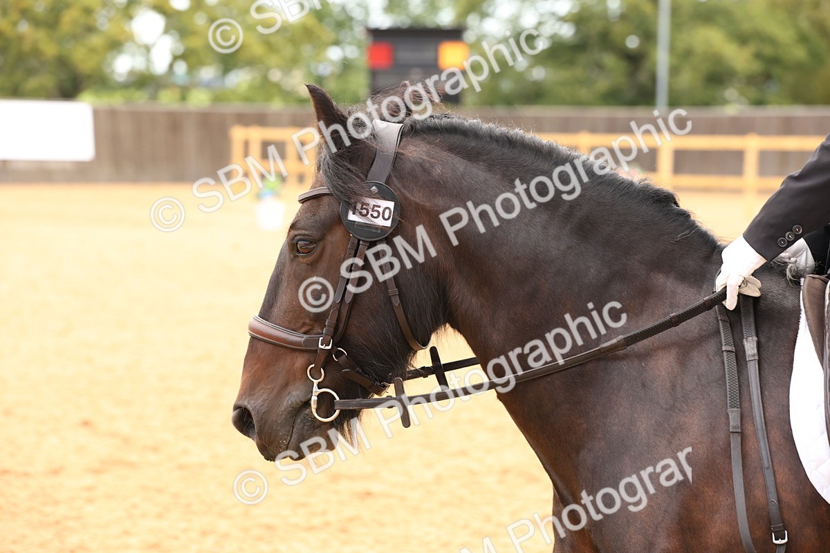 SBM_00581 - D1 - Small Tour Championship Intro 1