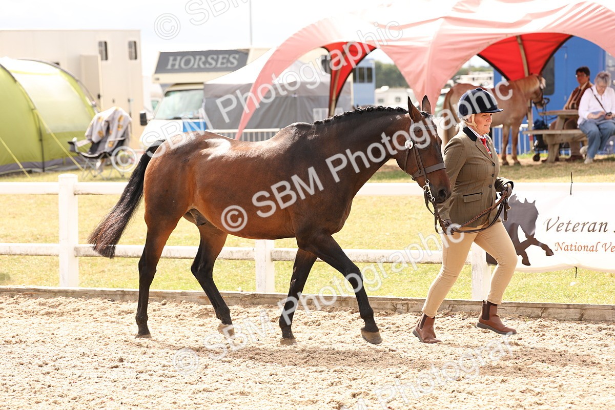 SBM_14655 - Class 208 - IH Veteran Horse