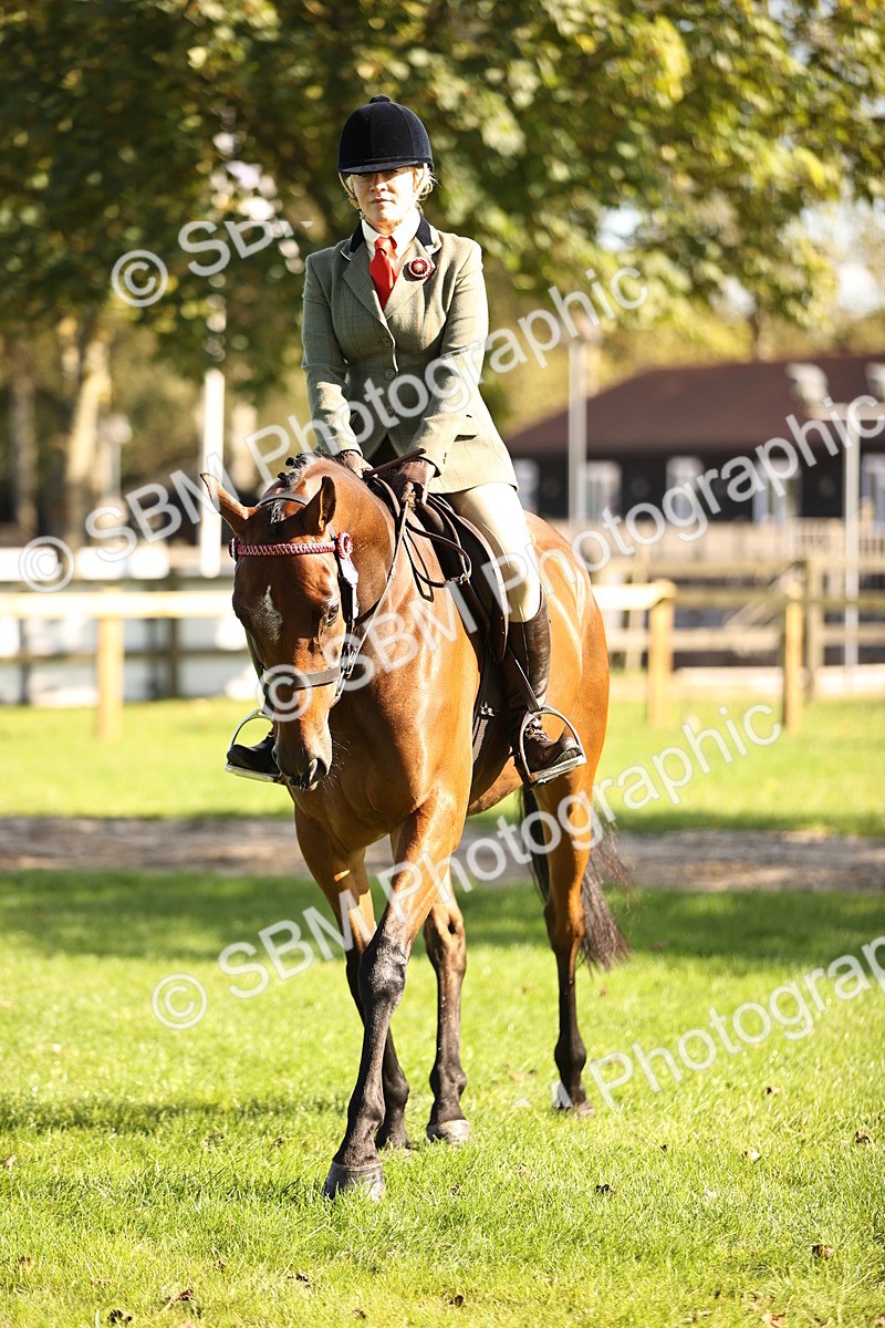 SBM_16963 - S2 - TSR Ridden Pony Showing