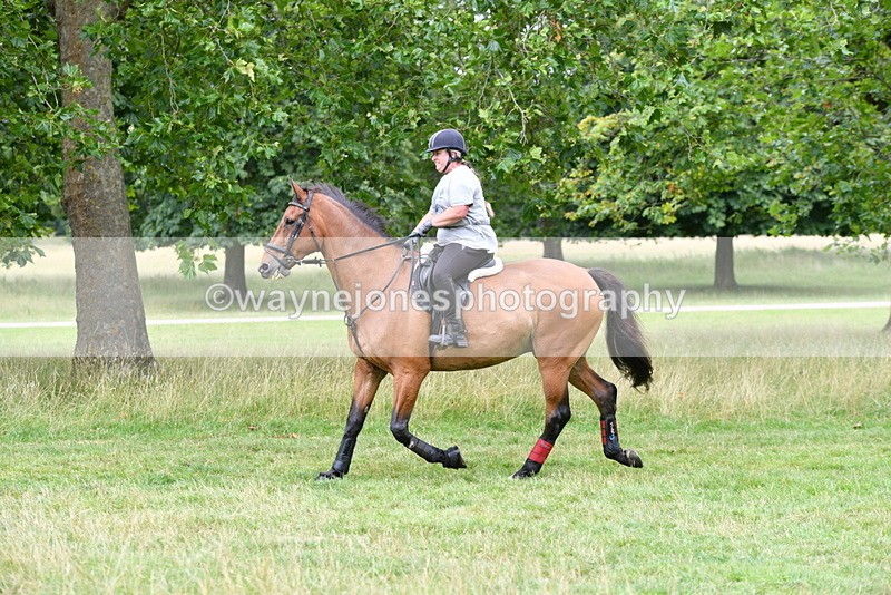 WJ5_3120 - Time at Jump 14:47 to 15:17
