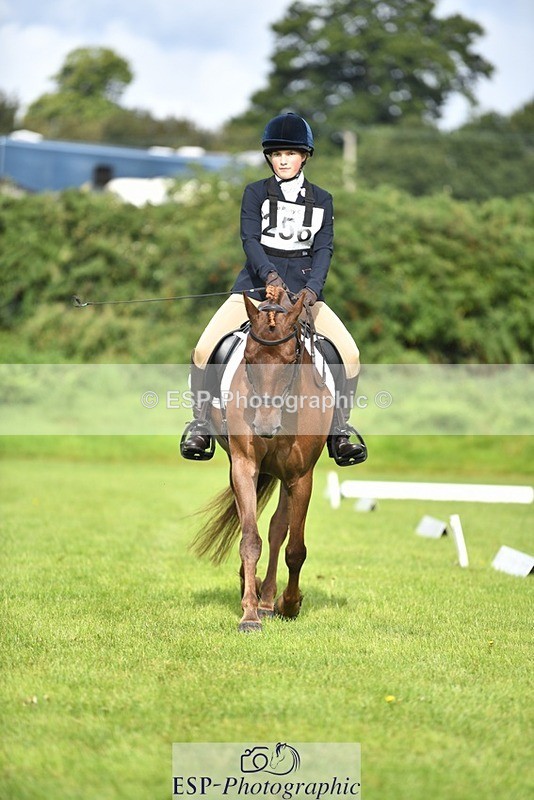 230826-094008-15186 - Sections C & D 9 to 10am