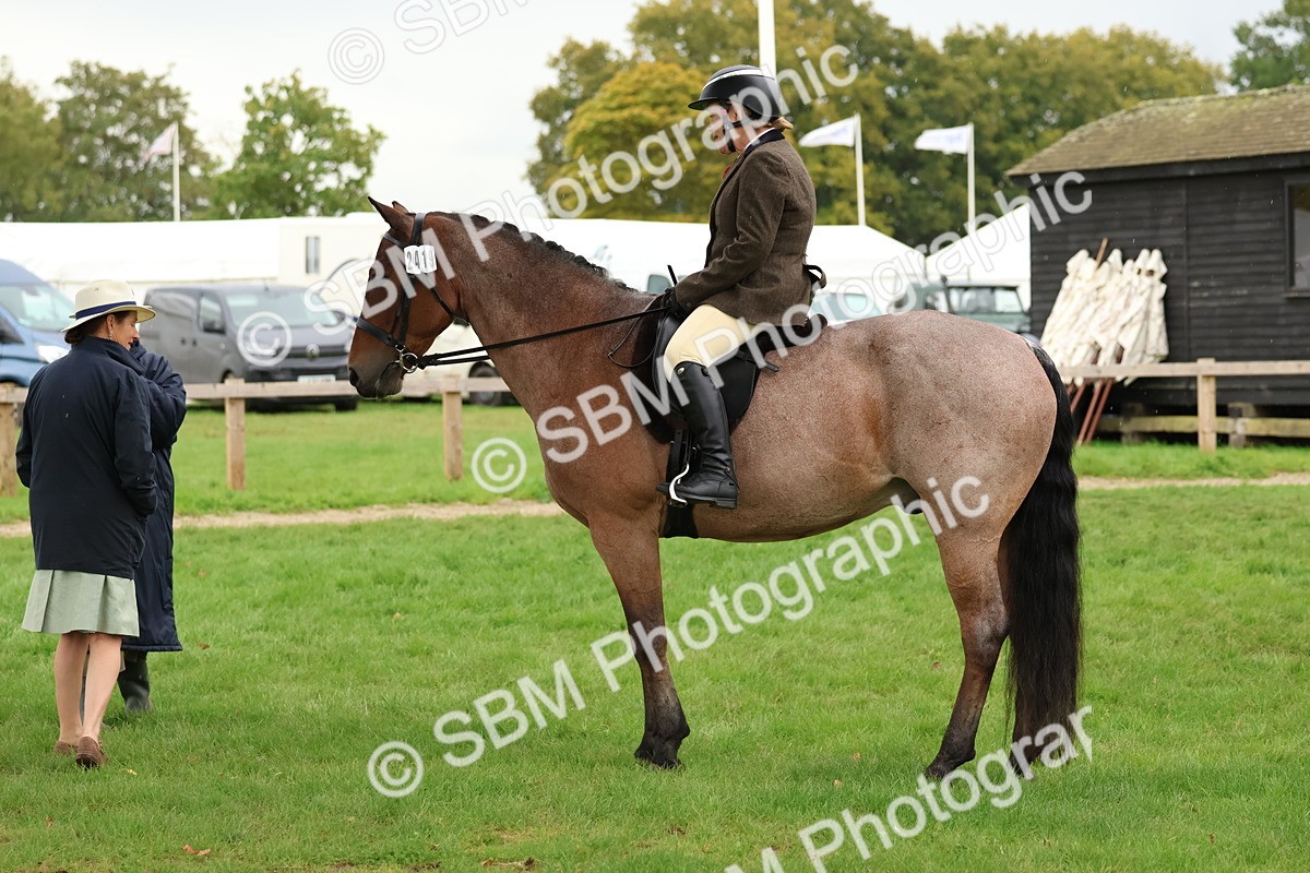 SBM_45035 - S27 - Young Veteran Ridden