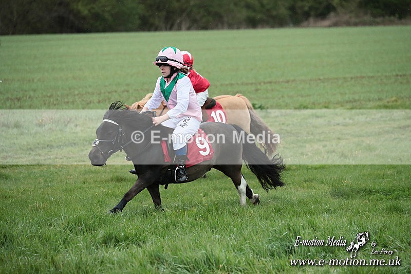 SHETPR 210425 203 - Shetland Ponies Paxford Races 21/04/25