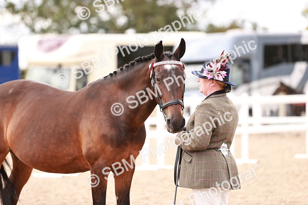 SBM_16348 - Class 413 - Best Condition - Adult