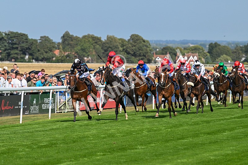 240825-Race 4-Lady Hornblower-2962 - Race 4