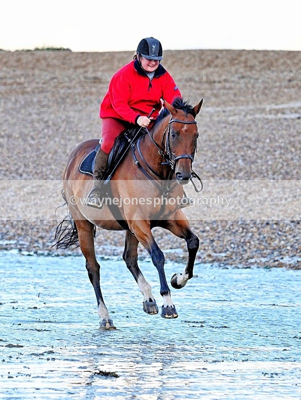 WJ7_3984 - Edited Examples