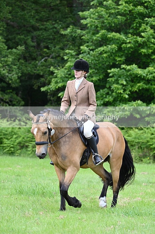 WJ7_2572 - Class 12A Coloured Class