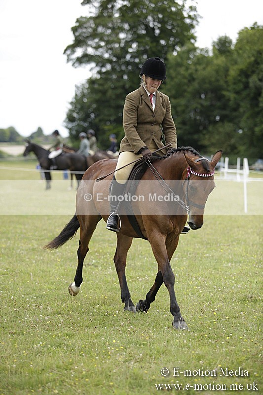 BVR160717-783 - Ring 1 BVRC Show 16/07/17