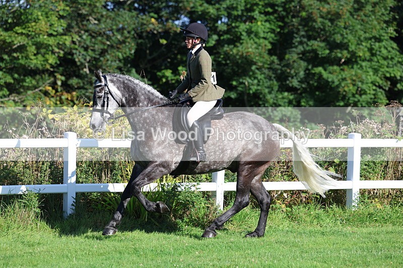 3E7A7610 - Class 1: Novice Working Hunter Pony