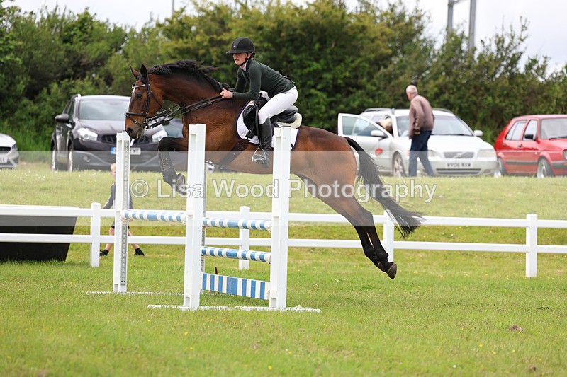3E7A7793 - Class 13: Senior British Novice/90cm open