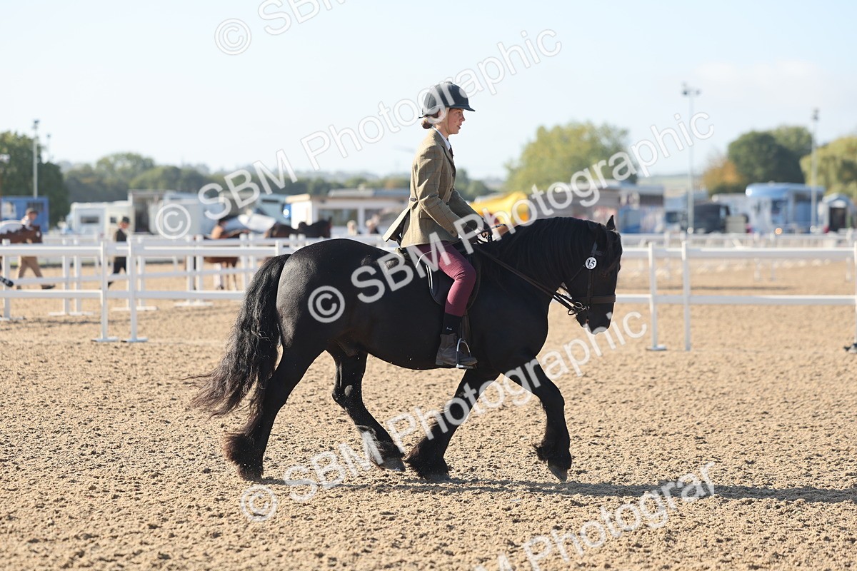 SBM_22167 - Class 802 - Ridden Groom Helpers Class