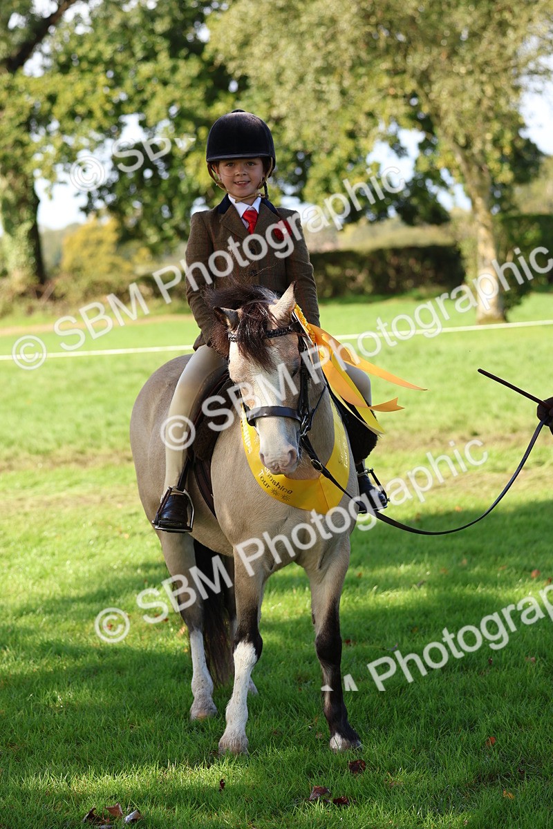 SBM_37433 - Fun Showing Supreme Championship