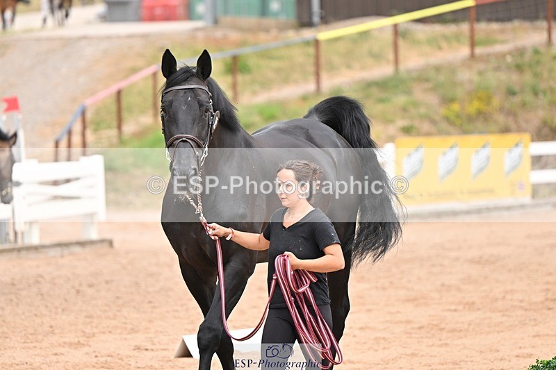 250716-150941-01706 - Trot Up 2.30 to 3.30