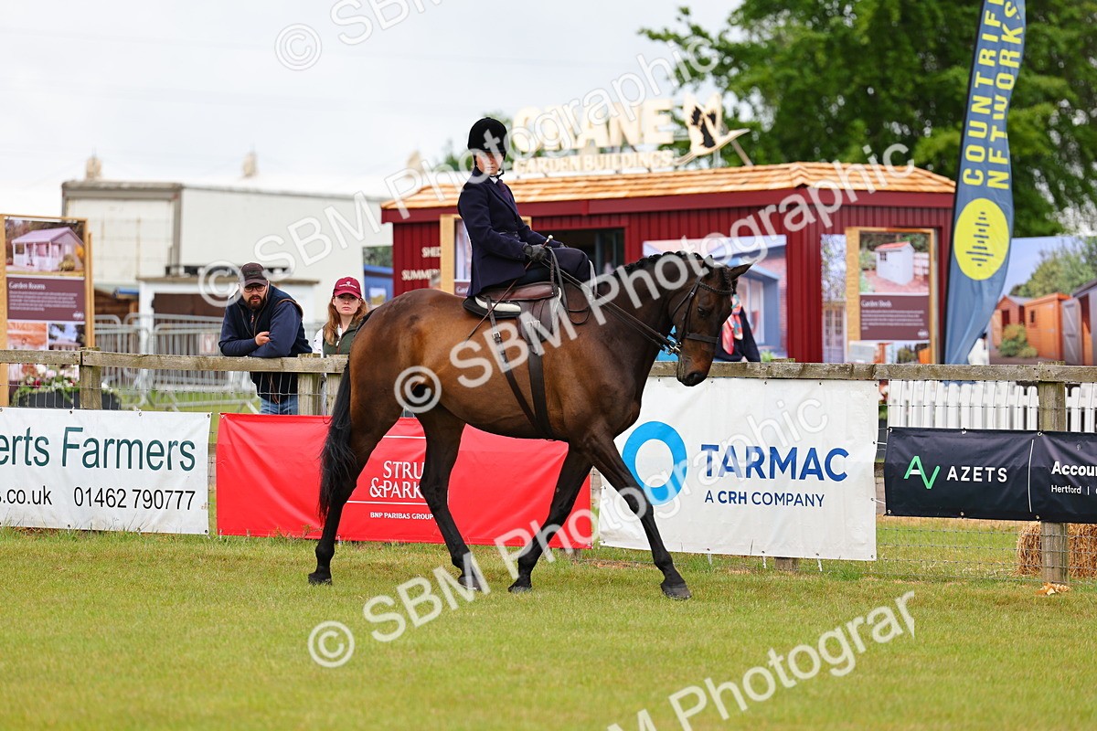 SBM_02765 - Class 9-11 Side Saddle including LIHS Rising Star Ladies Show Horse