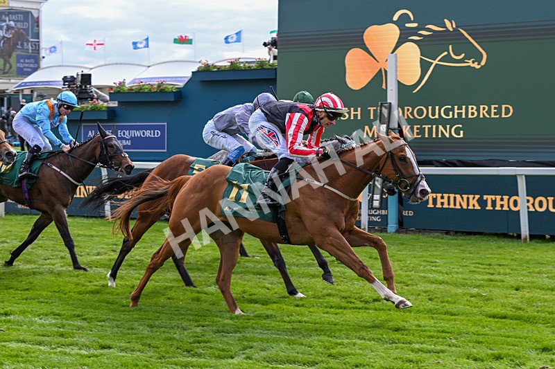 150526-Race 6-Fortification-8422 - Race 6 4.40pm Irish Thoroughbred Marketing Handicap