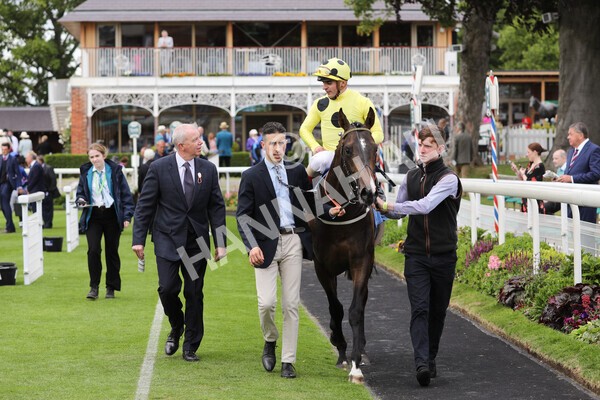 yr11062022r6-36 - Race 6 4.15pm Reg Griffin Appreciation EBFstallions.com Maiden Stakes