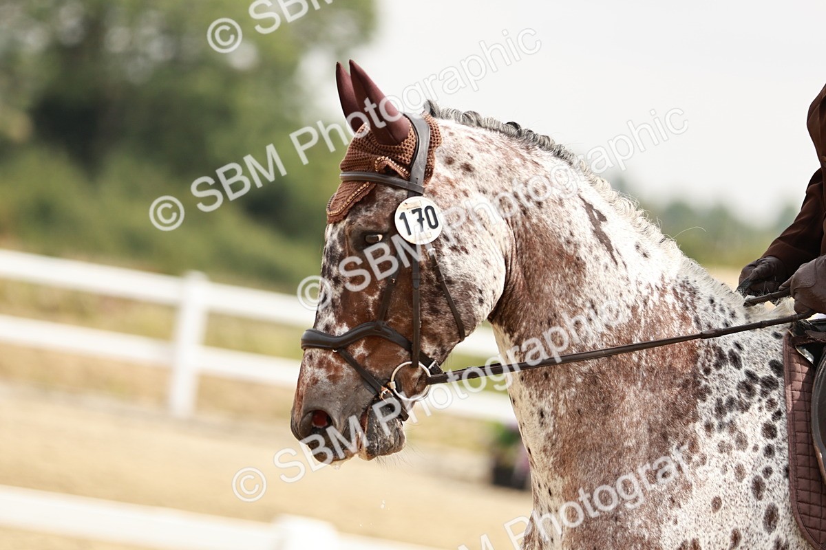 SBM_002731 - Class 6 - Novice 6 Silver - 10.17-11.20
