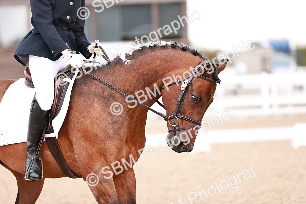 SBM_04021 - Class 36 - Prelim 5