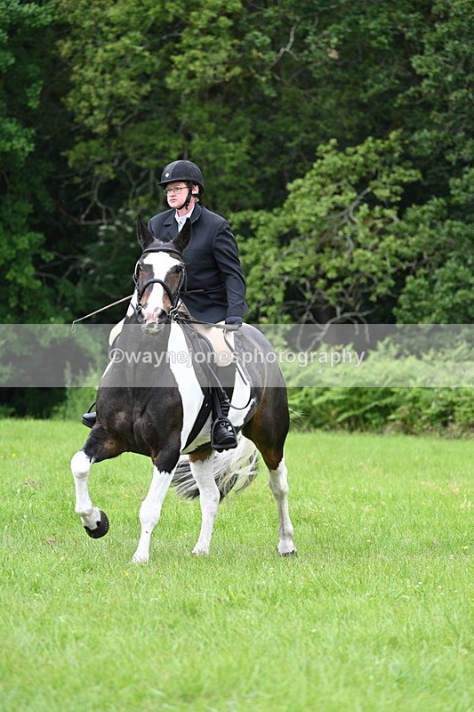 WJ7_2072 - Class 12A Coloured Class