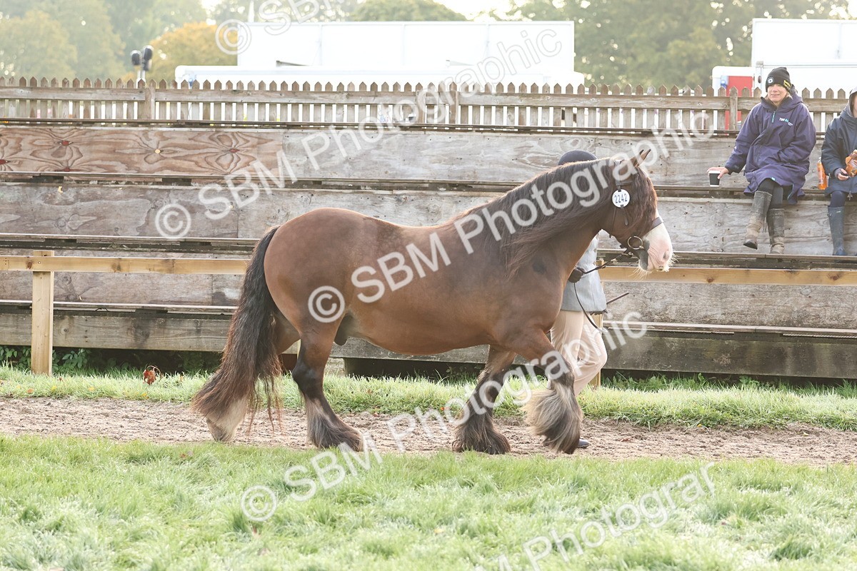 SBM_54482 - S38 - Starters Best Turnout
